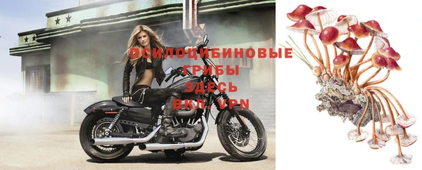 марихуана Баксан
