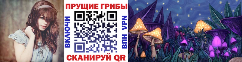Псилоцибиновые грибы Psilocybine cubensis  Лабытнанги 